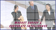 Market survey & corporate intelligence